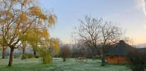 Maisons d'hotes La Berceenne : photos des chambres