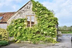 Baby Barrow - Somerset Holiday Home - 北伍顿