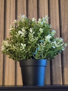 Appartement Rouen Le Stella Hyper Centre à 10 minutes