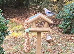 Hoefbos Otterlo Bungalow