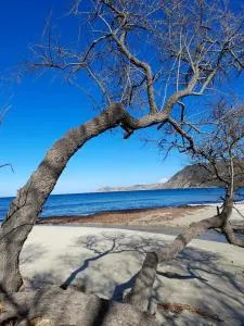 Vos vacances à 3 minutes de la mer - Olmi-Cappella