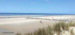 Appartements Appartement cosy vue mer a Merlimont : photos des chambres