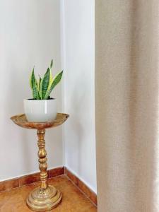 Villa del Pino, Terrazza vista Mare