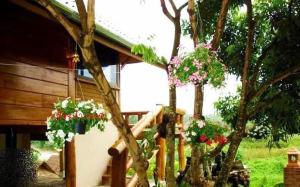 Huean khao hom เฮือนข้าวหอม