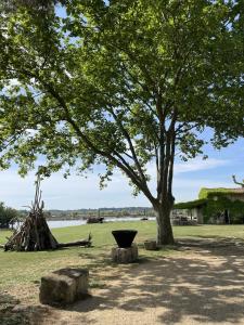 Maisons d'hotes Mas de la Galegiere - Les Chambres d-Hotes : photos des chambres