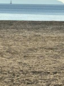 La Faviere T2 4pers RDC avec Terrasse