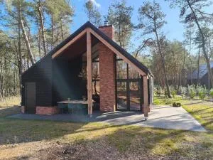 Luxe boslodge Giethmen - Lemele