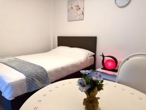 Appartement cosy à Bruxelles métro Vandervelde