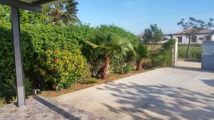 LOFT Ajardinado en Roche CONIL