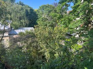 Studio dans le quartier luxe