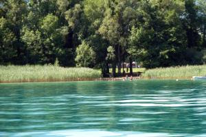 Campings Camping Le Solitaire du Lac : photos des chambres