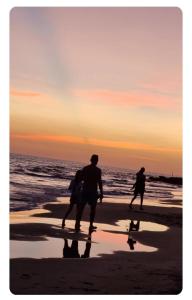 Ocean Front Sanguine Villa & Suite Treasure Beach