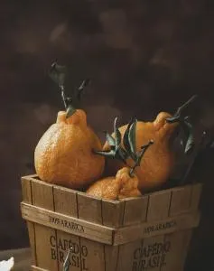 Casa Maria - Tutrakan