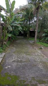 Casa - Guarujá - Carnaval