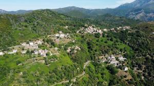 Appartements Charming stay in an Authentic Corsican Village : photos des chambres