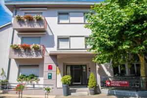 Hotels Logis Hotel & Restaurant Au Lion d'Or : Chambre Triple