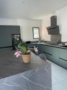 Modern Escape in Provence