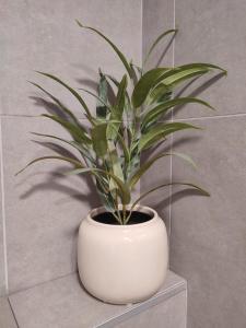 LOlivine Chambre dhôtes