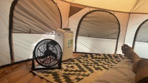 SurFreak Backyard Glamping CoWorking Experience
