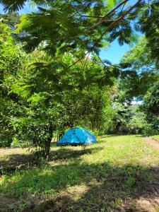 Nosso Quintal Candeias - Camping