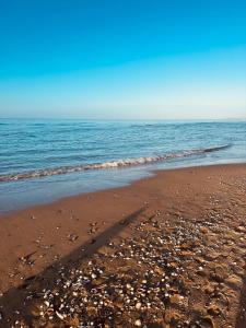 joli T2 situé dans le coeur de Cabourg