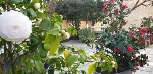 B&B / Chambres d'hotes Chambres d'hotes Le Clos Bleu : photos des chambres