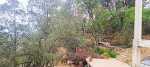 Garzonier Casa Ecologíca Rosa Verde