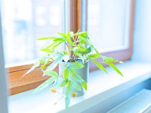 OH KEY Apartments - unlock your stay - Zentral in Fulda-City