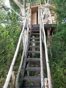 Glampings Tree House Suriel - Ñilque