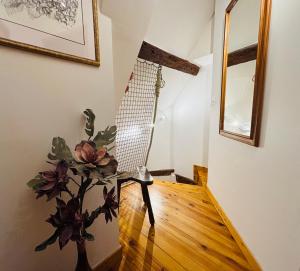 La maison à rayures - Centre historique