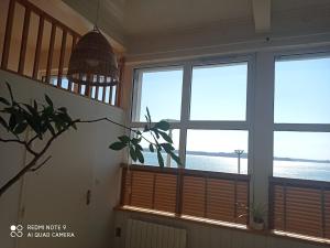 Appartements Joli appartement vue imprenable sur la mer : photos des chambres