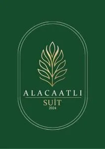 Alacaatlı Suit - Alacaatlı