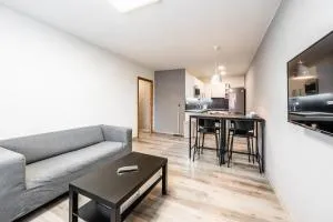 Apartments Kolín & Penzion Navara - 科林