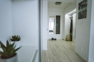 City Studio Apartment