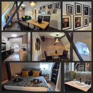 Harzperle Quedlinburg Ferienwohnung 41m² - جيرنروده هارتس