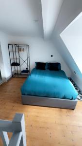 Appartements Le Gris metal, T2 duplex, centre ville historique : photos des chambres