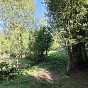 Cabin in Natural Forest