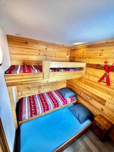 Chalet apartment with ski and spa at foot for 4 people