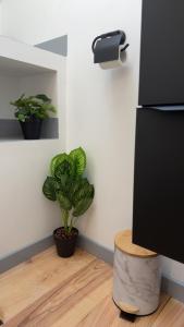 Appartements Le Loft, T2 duplex centre ville historique : photos des chambres