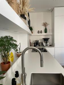 Vaste et Bel Appartement en plein Centre-ville de Montpellier