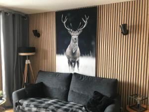 Appartements Appartement avec vue montagne : photos des chambres