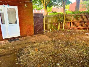 The Immaculate House