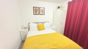 The Immaculate House