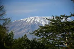 Amboseli Kijiji Mlimani - Kirongo