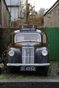 Tranquil Haven Mansion