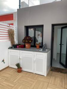 LITTLE NELL casa compartida