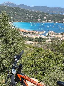 SoleLuna - ad un passo dal mare img50