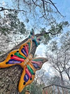 Glamping El Cielo Adventures