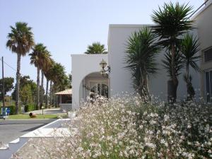 Andromeda Hotel Apartments Kos Greece