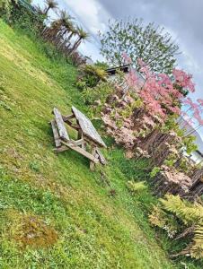 Served 3-Bedroom House A including 5 Double Beds, 1 Single Bed, and 2 King Sofa Beds